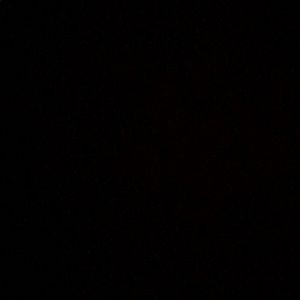 Meet your Posher, Lily